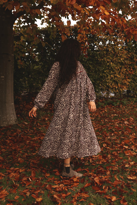 The Naazira Dress - Winter Paisley