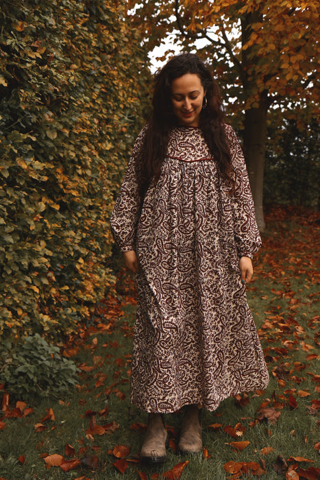 The Naazira Dress - Winter Paisley